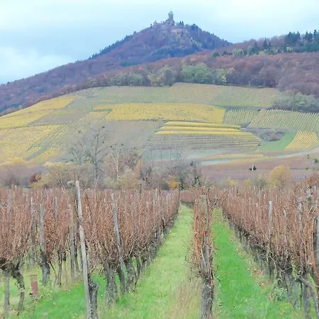 アパート Route Du Vin Centre Alsace