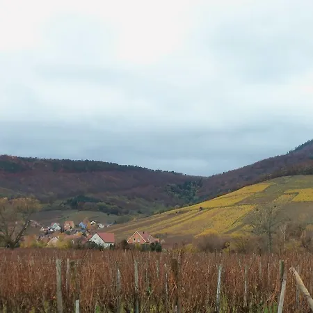 アパート Route Du Vin Centre Alsace オルシュヴィラー