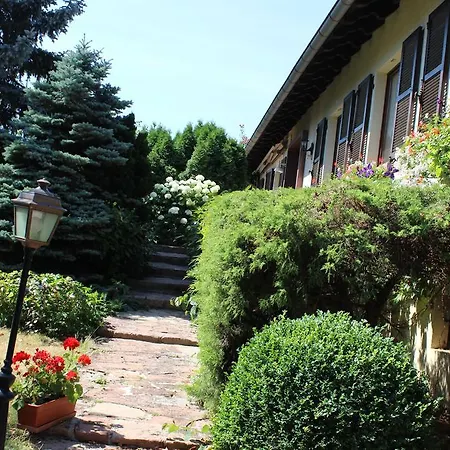 Route Du Vin Centre Alsace Orschwiller