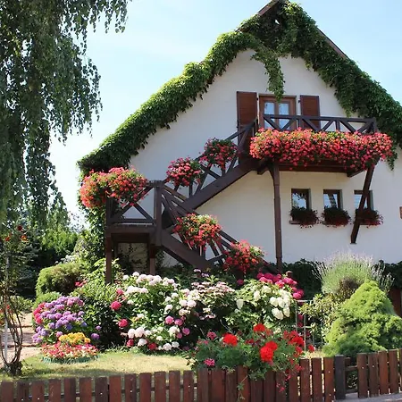 Route Du Vin Centre Alsace
