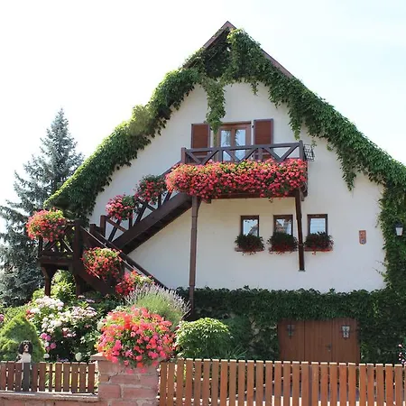 Apartament Route Du Vin Centre Alsace *